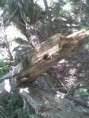 /album/prazdniny-a-my-/fotka-video090-jpg/